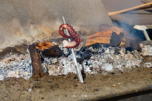 Tipikus Andalúziai Étel Két Étvágygerjesztő Nagy Grillezett Polip Csápok — Stock Fotó