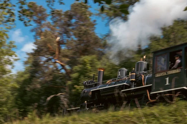 Train Mouvement Dans Forêt — Photo
