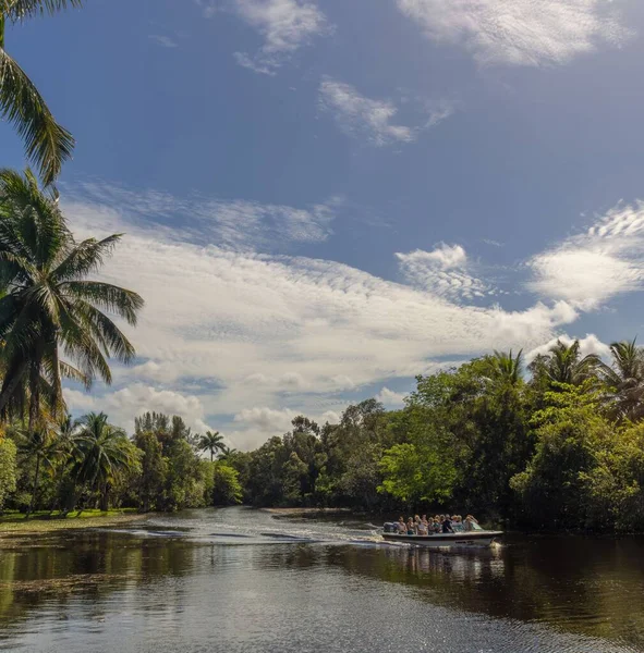 Ein Boot Mit Touristen Der Küste Des Zapata Sumpfes Kuba — Stockfoto