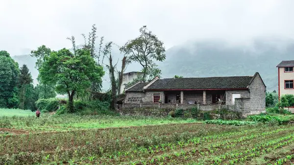 Une Vieille Maison Brique Devant Champ Agricole Avec Des Arbres — Photo