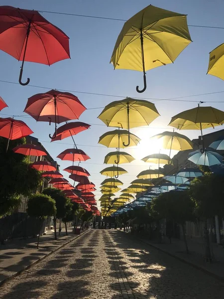 Een Verticaal Schot Van Kleurrijke Paraplu Een Straat — Stockfoto