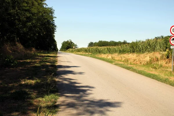 農地の近くを通る田舎道 — ストック写真