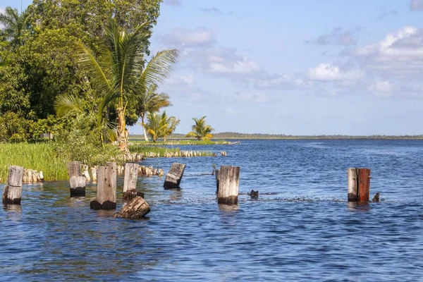 Beautiful Landscape Zapata Swamp Cuba — Stock Photo, Image