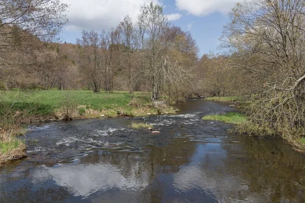 Rio Fluindo Uma Floresta Chambon Sur Lignon França — Fotografia de Stock