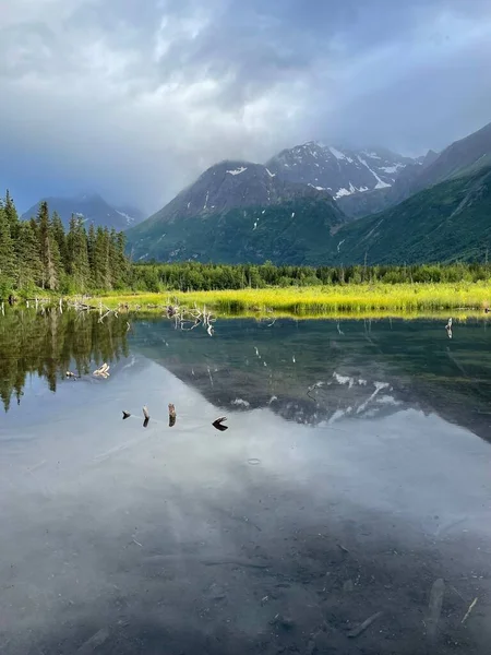 透き通った湖に映る 曇り空の日の山と森の緑の風景 — ストック写真