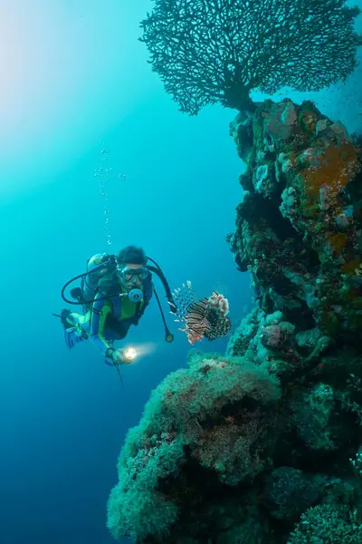 Separador Caucásico Descubriendo Árboles Del Mar Rojo Arrecifes Coral Mrsa — Foto de Stock