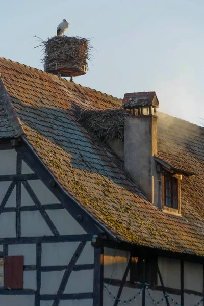 Vertical Shot Stork Bird Nest Top Roof — Stock Photo, Image