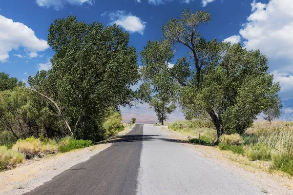 Árboles Verdes Camino Desierto Del Valle —  Fotos de Stock