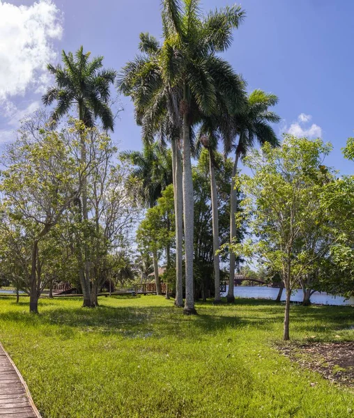 Hermosa Naturaleza Tropical Orilla Del Pantano Zapata Cuba — Foto de Stock