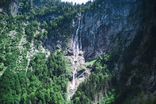 Une Cascade Étroite Centre Des Montagnes Avec Des Arbres — Photo