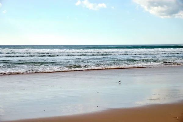 蓝天下有棕色沙滩的海景 — 图库照片