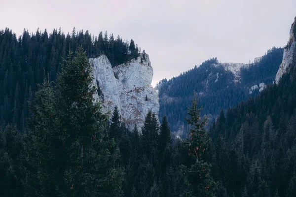 Eine Wunderschöne Landschaft Mit Grünen Wäldern Auf Bergen — Stockfoto