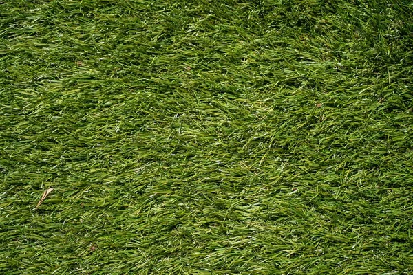 Artificial Green Grass Sunlight — Stock Photo, Image