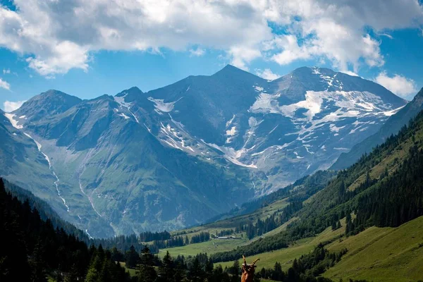 Een Schilderachtig Uitzicht Bergen Bedekt Met Sneeuw Groene Bossen Bewolkte — Stockfoto