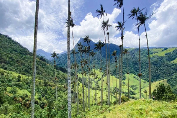 Une Belle Vue Sur Vallée Cocora Colombie Sous Ciel Nuageux — Photo