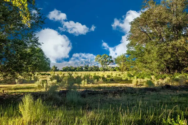 Een Landschap Van Een Vallei — Stockfoto