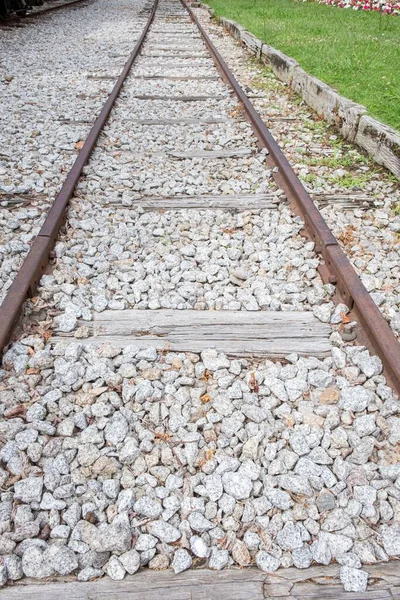 Terk Edilmiş Eski Bir Demiryolunun Rayları Seçici Odak — Stok fotoğraf