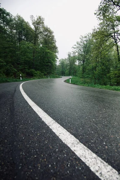 Lege Natte Asfaltweg Door Het Bos Verticaal — Stockfoto