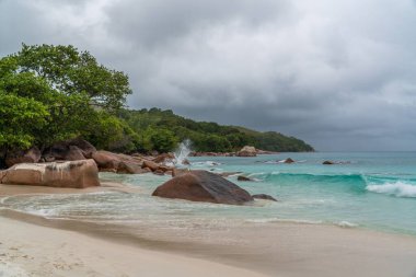 Kocaman kayalar ve ağaçlarla dolu yağmurlu bir deniz manzarası.