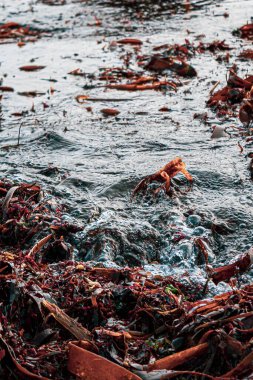 Sahil yüzeyinde turuncu bardakların dikey görüntüsü.