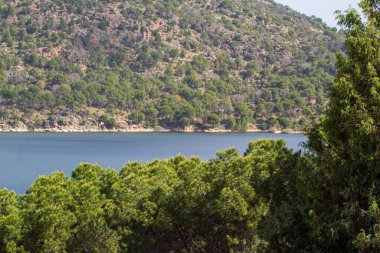 Çalı ve ağaçlarla kaplanmış, deniz kenarındaki boş, sakin bir manzara.