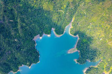 Ağaçlarla çevrili ormandaki kristal berrak göl manzarası..