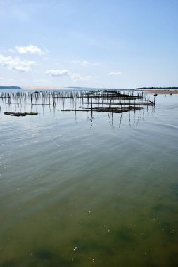 Bir su yüzeyi ve balıkçılık kazıkları