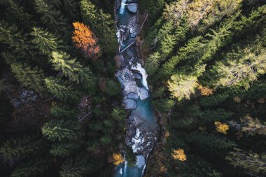 Etrafı kozalaklı ağaçlarla çevrili bir nehir manzarası.