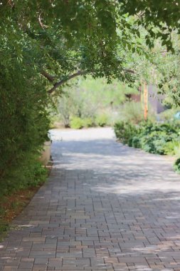 Parktaki yeşil ağaçların altındaki patikanın dikey görüntüsü.