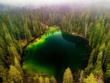 Karadağ 'ın Durmitor kentinde yüksek yeşil ağaçlarla çevrili Zminje gölünün hava manzarası