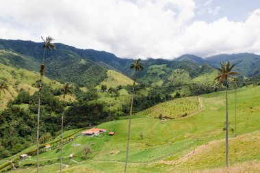Salento Columbia 'daki Cocora Vadisi' nde dağlar ve bulutlu bir manzarayla çekilmiş.