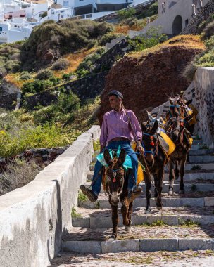 Oia, Santorini, Yunanistan, Nisan. 2022 - Santorini 'deki eşek taksisi, adanın en popüler turistik yerlerinden biri..