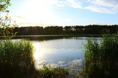 İçinde güneşin yansıması olan, ağaçlarla çevrili manzaralı bir göl.