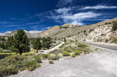 Ağaçlarla çevrili bir yol bulutlu bir gökyüzüne karşı.