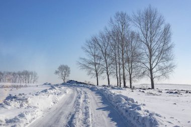 Kırsal alandaki boş karlı yol manzarası