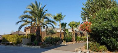 Güneşli bir günde yol üzerindeki palmiye ağaçlarının manzarası