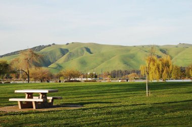 Güneşli bir yaz gününde yeşil bir parkın güzel manzarası