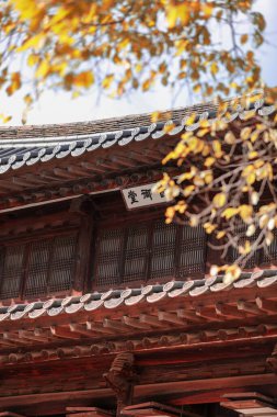 Kore 'de sonbahar yapraklarıyla tasarlanmış Asyalı bir evin dış kısmının dikey çekimi.