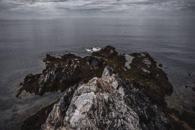 Yosun ve akşam bulutlarının altındaki sakin deniz ile kaplı kayalık sahilin güzel bir manzarası.