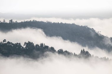 Gri bulutlu gökyüzünün altında, sislerin arkasındaki ormanlı tepelerin manzarası.