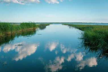 Ormanda akan güzel bir nehrin havadan görünüşü.