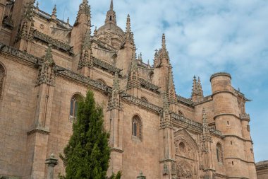 16. yüzyıl Gotik Katedrali 'nin kuzey duvarı. Salamanca, İspanya' da buketlerin kapısı var.