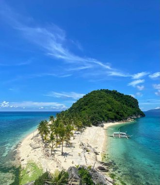 Yoğun ormanı ve kumlu plajları olan tropik bir adanın havadan çekilmiş dikey görüntüsü.