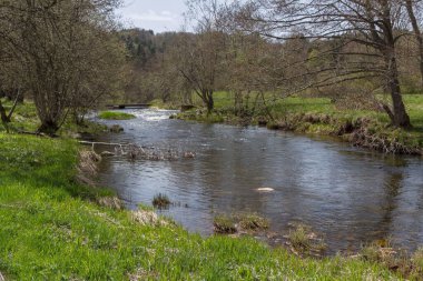 Fransa, Le Chambon-sur-Lignon ormanında akan bir nehir.