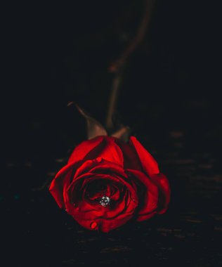 A closeup of a red rose with a dimond in the middle in the darkness clipart