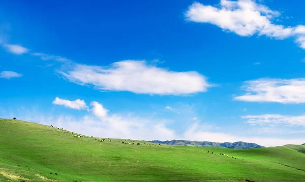 Vista Panorámica Prado Verde Bajo Cielo Azul Con Nubes —  Fotos de Stock
