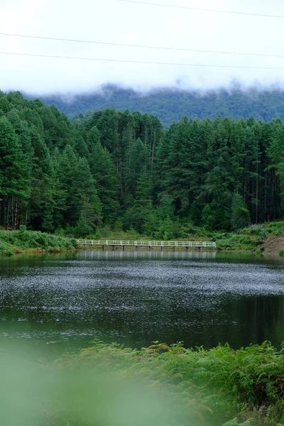 Une Belle Vue Sur Eau Calme Lac Avec Pont Entouré — Photo