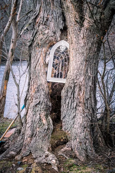 Tiro Vertical Uma Porta Misteriosa Uma Árvore Portal Para Outra — Fotografia de Stock