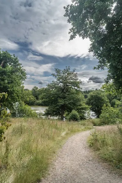 Staffordshire Lakeside Woodland Path Sunny Day Stoke Trent — Stock Photo, Image