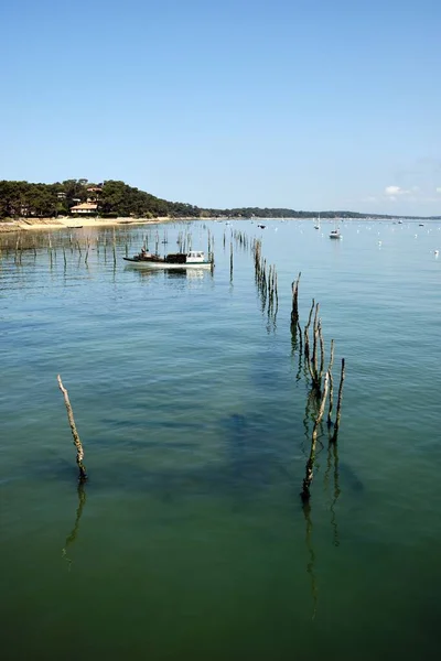 Bir Yüzeyi Balıkçılık Kazıkları — Stok fotoğraf